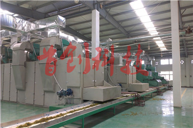 1503278493114266.jpg 浙江金銀花烘干2.jpg