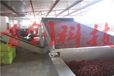 1503711709119636.jpg 玫瑰花烘干.jpg