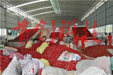 1514519820269120.jpg 微信圖片_20171122113956.jpg