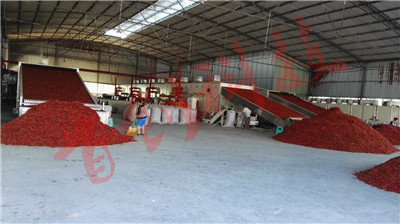 1555490953407424.jpg 微信圖片_20171209084231.jpg