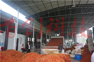 1560129467702872.jpg DSC05679.jpg