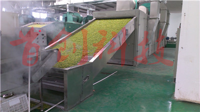 1599203482291886.jpg 浙江金銀花3.jpg