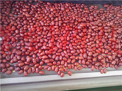 1607503422361665.jpg IMG_20131103_160743.jpg