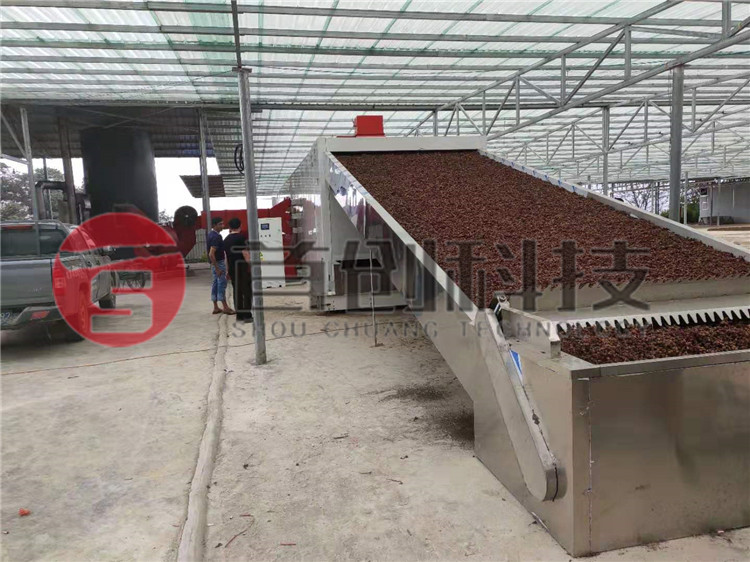 網(wǎng)帶式吳茱萸干燥設備.jpg