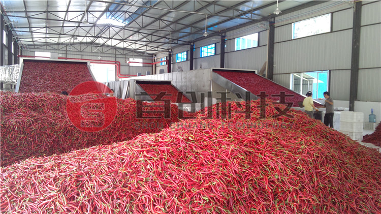 大型辣椒烘干設(shè)備.jpg 大型辣椒烘干設(shè)備.jpg