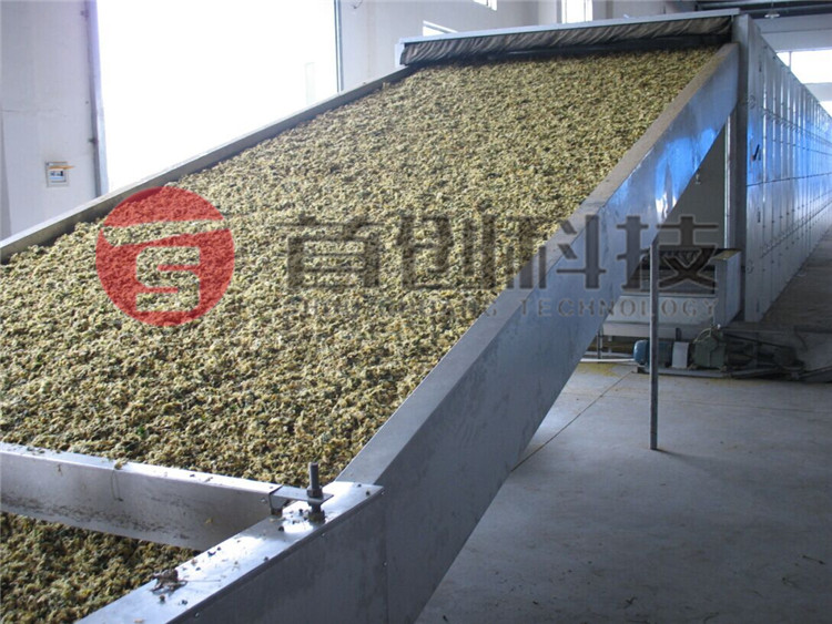野菊花熱風(fēng)干燥設(shè)備.jpg 野菊花熱風(fēng)干燥設(shè)備.jpg