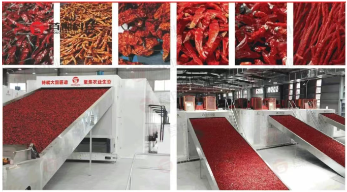 1747448450689785.png 1747448444539.png