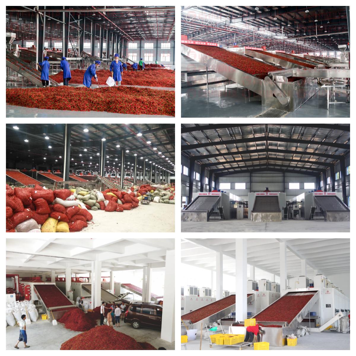 1747448589961631.jpg 小.jpg